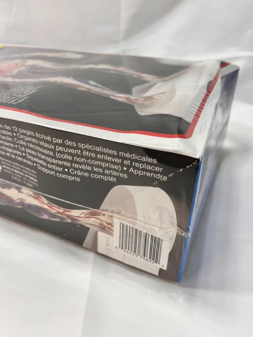 Vintage 1994 Skilcraft VISIBLE MAN Educational Anatomy Model Kit 14